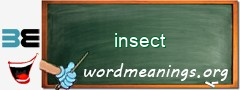 WordMeaning blackboard for insect